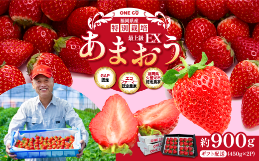 ytzMtgz 450g×2pbN v900g EX Y ܂ ʍ͔|y2026N1{3{\z   C`S x[ ʕ t[c  fU[g 