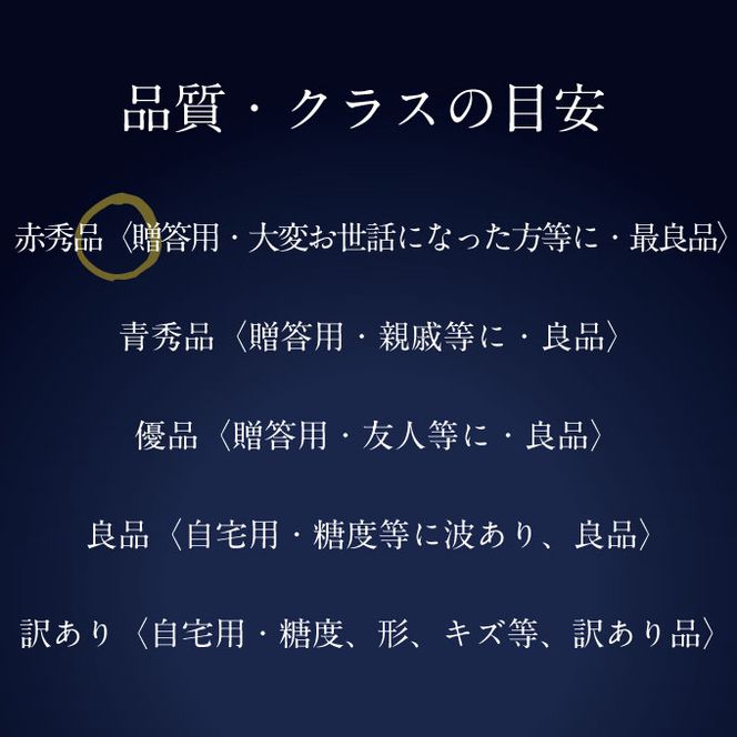 ぶどう 2026年 先行予約 9月・10月発送 高級品 シャインマスカット 晴王 2房 約1.2kg ブドウ 葡萄 岡山県産 船穂産 フルーツ 果物 ギフト