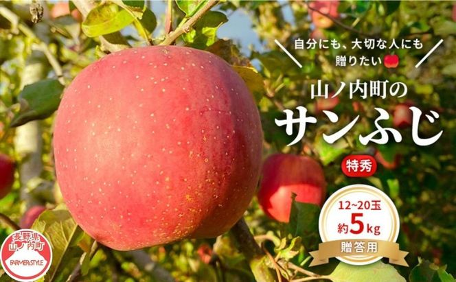 りんご 先行予約 贈答用 サンふじ 特秀 5kg フルーツ 果物 ギフト 2026年 12月 発送