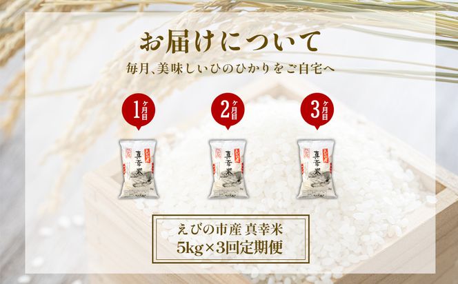 【定期便】限定品 えびの産 ヒノヒカリ 真幸米(まさきまい)  5kg×3ヶ月 15kg 米 定期便 コメ こめ 白米 ひのひかり おにぎり お弁当 冷めても美味しい