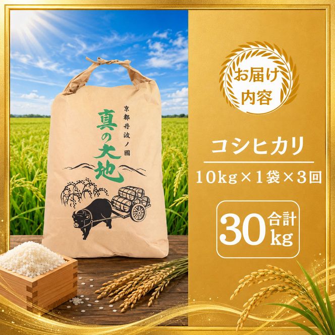 定期便 令和8年産 京都丹波産 コシヒカリ 10kg　3回 京都 お米 米 令和8年 10キロ 新米 新米26