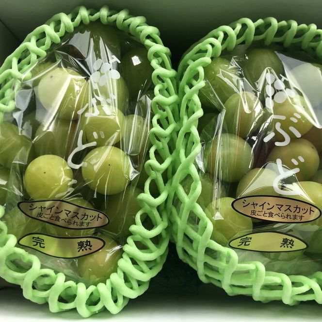 和歌山県産完熟シャインマスカット約1kg【2026年度発送分】
