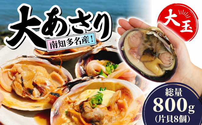 南知多名産！ 大あさり カット済み 大玉 片貝8個 (400g×2p) 800g 冷凍 プロトン凍結 魚貝 鮮魚 魚太郎 特産品 バーベキュー BBQ 浜焼き 酒蒸し 大あさり 大浅蜊 あさり アサリ 浅蜊 蛤仔 貝 かいし 大あさり 大浅蜊 あさり アサリ 浅蜊 蛤仔 貝 かいし 大あさり 大浅蜊 あさり アサリ 浅蜊 蛤仔 貝 かいし 大あさり 大浅蜊 あさり アサリ 浅蜊 蛤仔 貝 かい愛知県 南知多町