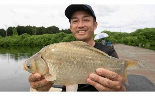 杉山作 （ へらぶな 釣り用 浮き子 ） サーチ ・ 浅ダナ セット パイプ （紫） 釣り用品 釣り具 フィッシング アウトドア 釣具 ヘラブナ釣り [DV001ci]