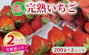 005A359 【特別規格】朝摘み完熟いちご 2パック【先行予約 化粧箱入り 200g×2P 苺 イチゴ フルーツ 果物】