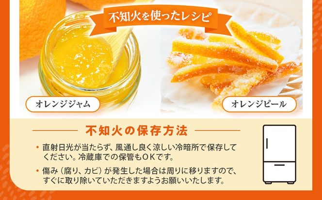 不知火(しらぬい) オレンジ みかん 訳あり 2kg サイズ混合 CE061