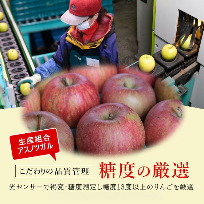 りんご 【12月・1月発送】 蜜入り 糖度13度以上 おもてなし用 家庭用 葉とらず サンふじ 約 3kg 【 青森りんご 】 りんご リンゴ 果物 フルーツ 産地直送 贈り物 年末 年始 挨拶