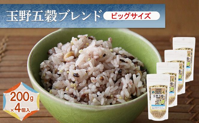 玉野五穀ブレンド ビッグサイズ 200g×4個入り 約1ヵ月分 五穀ブレンド 雑穀ブレンド 国産 米 黒米 もちきび もちむぎ 大豆 たかきび