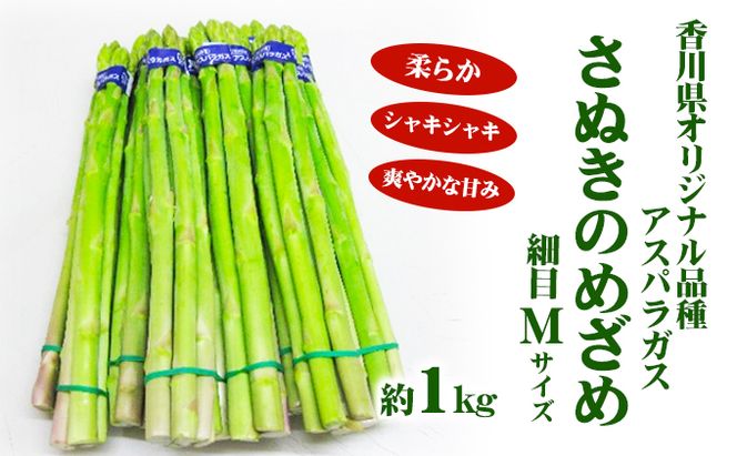 アスパラガス【さぬきのめざめ】Mサイズ1kg 野菜 