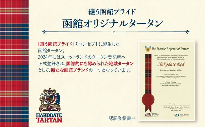 【函館タータン】プレミアムセット オリジナル テディベア ポーチ バインダーセット 赤煉瓦レッド 海峡ブルー 道南雪ホワイト 烏賊墨セピア くま クマ 熊 ベア インテリア ギフト おもちゃ ぬいぐるみ 文房具 送料無料_HD268-004