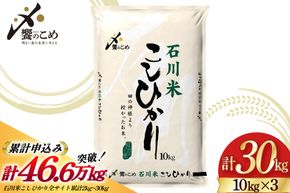 米 令和7年 石川米 こしひかり 精米 10kg 3袋 計 30kg [中橋商事 石川県 宝達志水町 38601200] お米 こめ コメ 令和7年産 コシヒカリ 白米 ごはん ご飯 10キロ 30キロ 能登 石川