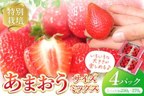 【先行予約受付中】【2026年12月以降順次発送】特別栽培あまおう4パック(サイズミックス)【うるう農園】_AS1968-00