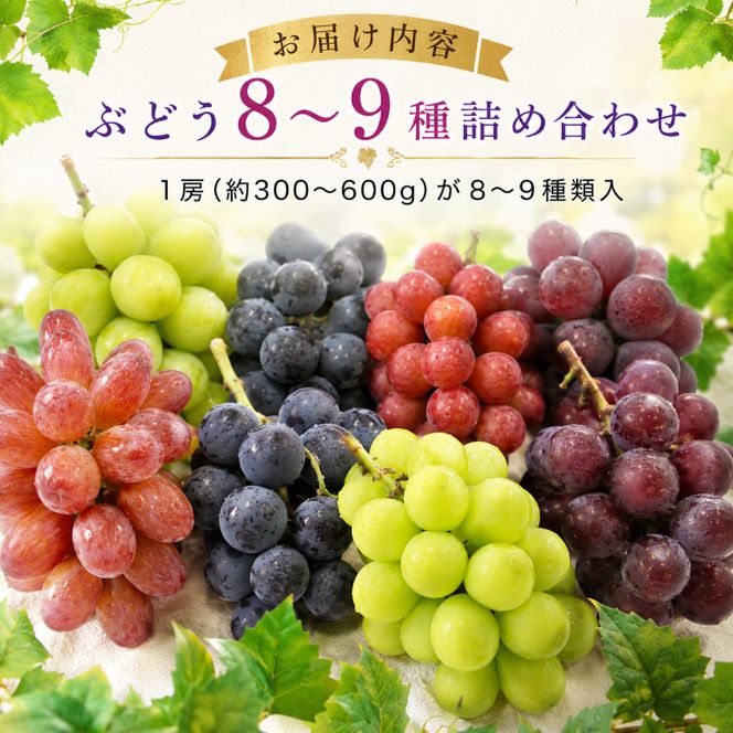 園主おまかせ！ぶどう8～9種詰め合わせセット8～9房入り 約4kg コンテナ茶箱 岡山県高梁市産