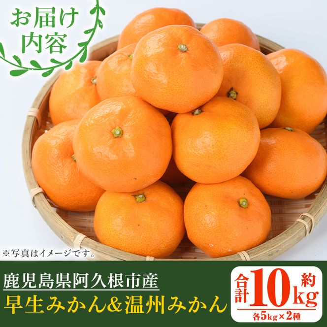 ＜先行予約受付中！2026年12月上旬以降順次発送予定＞ 数量限定！早生・温州ミカン食べ比べセット(合計10kg・各5kg) 国産 フルーツ 果物 蜜柑 柑橘【三笠農業生産】akn051-13