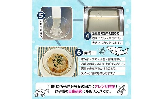 ところてんの素 (1袋・25g＋天突き付き) ところてん 天草 海藻 ヘルシー カロリーオフ デザート 常温【CW31】【山忠】