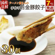 【スピード発送】 手作り餃子 冷凍 30個 6個×5pc 白金豚 ブランド豚 簡単調理 ご飯のお供 惣菜 お弁当 冷凍食品 10000円 1万円 黒船 大船渡市 [kurofune06]