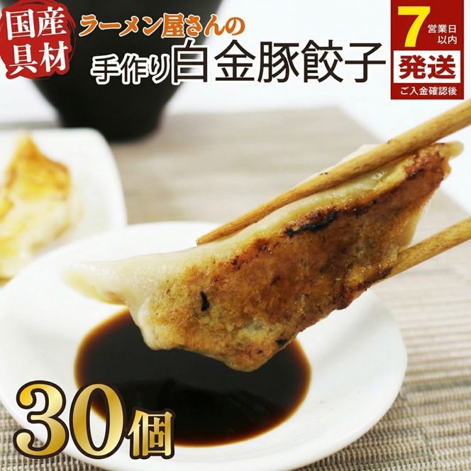 【スピード発送】 手作り餃子 冷凍 30個 6個×5pc 白金豚 ブランド豚 簡単調理 ご飯のお供 惣菜 お弁当 冷凍食品 10000円 1万円 黒船 大船渡市 [kurofune06]