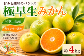 【先行予約】こだわりの極早生みかん 約4kg 農家直送 有機質肥料100% サイズ混合 ｜ みかん 極早生 早生 柑橘 果物 くだもの 果実 フルーツ 和歌山 有田