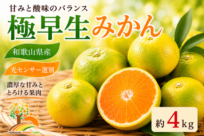 【先行予約】こだわりの極早生みかん 約4kg 農家直送 有機質肥料100% サイズ混合 ｜ みかん 極早生 早生 柑橘 果物 くだもの 果実 フルーツ 和歌山 有田