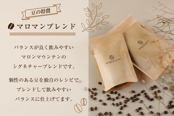 定期便 6回 コーヒー豆 3種セット 100g×3袋 [MARRON MOUNTAIN 埼玉県 小川町 307] 珈琲 ドリップ ダブルロースト製法 フルシティロースト