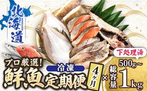 【定期便 4ケ月連続】 お魚の目利きのプロにお任せ！北海道産（国産） 天然 鮮魚 約500g～1kg（釧路の鮮魚セット） 鮮魚 刺身 セット 産地直送 定期便 冷凍 冷凍便 魚介類 海鮮 絶品 人気 ヒロセ 北海道 釧路町 釧路超 特産品　121-1262-142-014