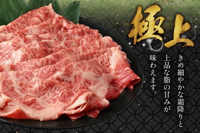 AJ467 長崎和牛 ローススライス 330g 2パック 計660g [ 牛肉 肉 和牛 お肉 すき焼き しゃぶしゃぶ 小分け 国産 冷凍 真空パック 記念日 誕生日 ブランド おすすめ 夜ご飯 柔らか ジューシー BBQ バーベキュー 焼肉 トライアルストアーズ 長崎県 島原市 ]