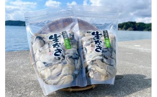 【期間限定発送】 宮城県産 むき牡蠣 生食用 500g×2p 計1kg [及新 宮城県 南三陸町 30aw0005] かき カキ 牡蠣 生牡蠣 貝 魚介類 剥き身 むき身 殻なし 冷蔵 新鮮 なべ カキフライ 牡蠣ご飯 濃厚