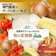 【2026年発送】全3回 富良野 専門農家が選ぶ 旬の贅沢定期便 北海道 富良野市 老節布 野菜 ミニトマト とうもろこし スイートコーン 玉ねぎ たまねぎ 玉葱 白玉ねぎ 甘い