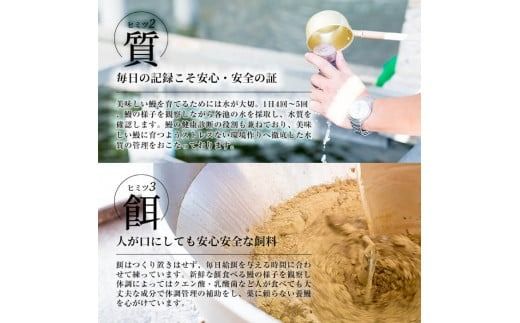 楠田の極うなぎ蒲焼130g以上×2尾・白焼130g以上×2尾(計520g以上) b3-014