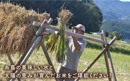 【新米受付中】＼令和6年産／糸島産 餅米 3kg 自然栽培 天日干し 【2024年11月下旬以降順次発送】 糸島市 / 大石ファーム もち米 おもち[ATE042] 