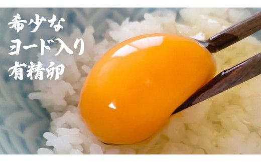 【12ヵ月 連続 定期便】王様の卵 ヨード入 40個 (35個+割れ保障5個 ) 計480個 平飼い 地鶏 有精卵 濃厚 卵 こだわり卵 たまご  頒布会 定期 [AU010us]