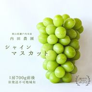 シャインマスカット1房（700g前後）内田農園 岡山県 瀬戸内市 邑久町産 葡萄 ぶどう 2026年【配達不可：北海道・沖縄・離島】 果物類 ブドウ フルーツ