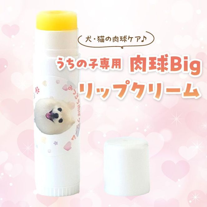 【ペット専用】うちの子専用肉球 Bigリップクリーム 《 ペットグッズ 愛犬 ケア 国産みつろう100% オーガニック スティックタイプ 大容量 ホホバオイル 》【2400N13313】