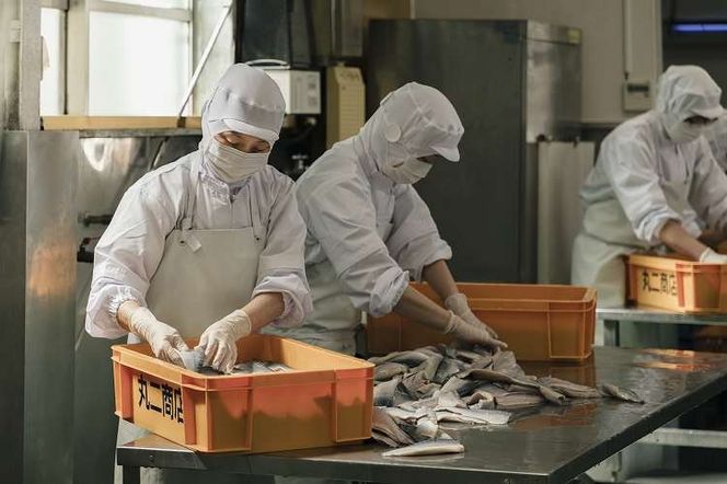 【酢〆専門老舗丸二商店】新春を祝いおせちに一品４パック入り おつまみ 酢の物 お刺身 おせち料理 小肌粟漬 こはだ粟漬 小肌 しめさば 〆鯖 酢〆 酢漬け 魚介 海鮮 お刺身風 酢〆セット おうちごはん H021-119