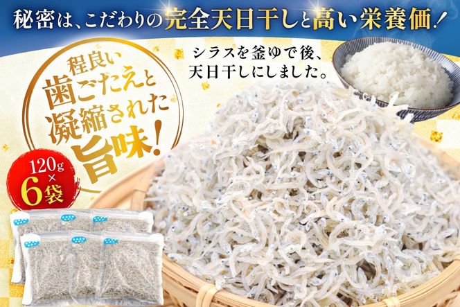 ちりめん 宮崎県産 無添加 ちりめんじゃこ 120g 6p 計720g [幸脇漁業生産組合 宮崎県 日向市 452061654] じゃこ 国産 しらす干し 小分け ジャコ 保存料不使用