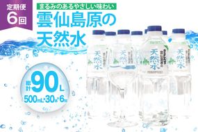 AJ616 山崎本店酒造場 【6回定期便】 雲仙島原の天然水 500mL 30本 計15L [ 水 ペットボトル 天然水 おいしい 備蓄 日用品 大容量 定期便 定期 名水百選 軟水 長崎県 島原市 ]