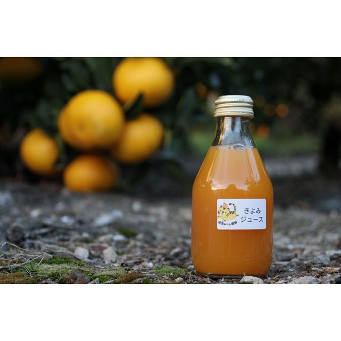 数量限定 有田みかんの産地から届く 果汁100％！ 搾りたての柑橘ジュース 180ml×24本 	DB034