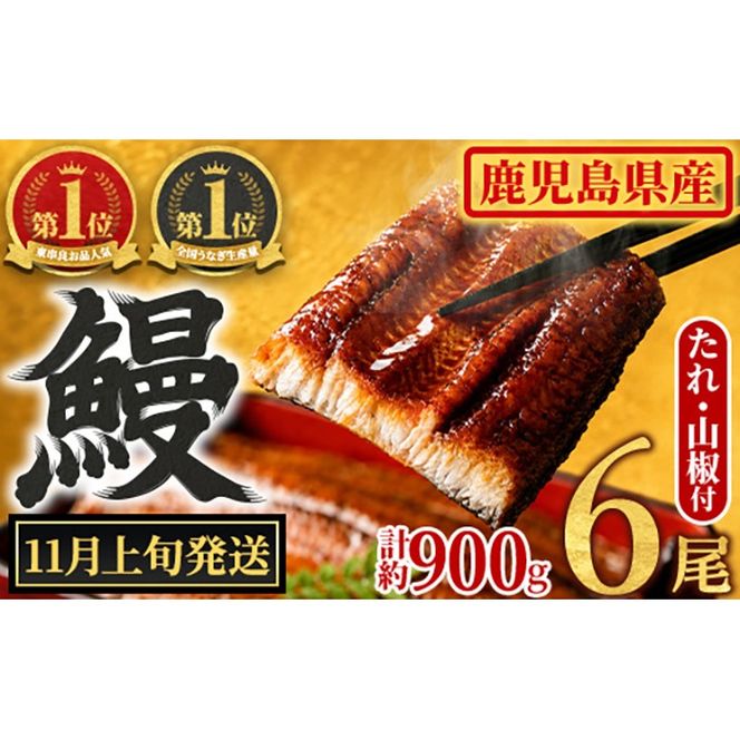 【0304349a-2611】＜11月上旬発送予定＞東串良町のうなぎ蒲焼(無頭)(6尾・計約900g・タレ、山椒付) うなぎ 高級 ウナギ 鰻 国産 蒲焼 蒲焼き たれ 鹿児島 ふるさと 人気 【アクアおおすみ】