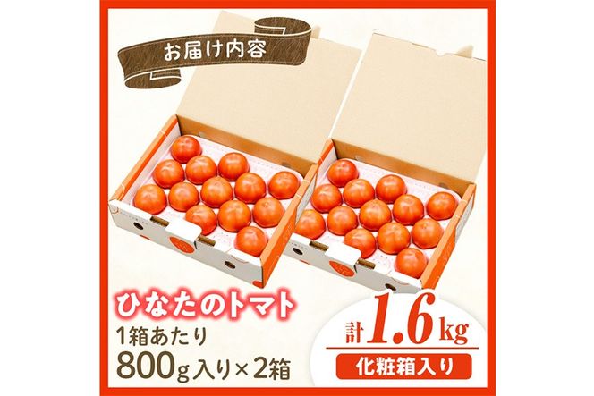 門川ひなたのトマト(800g×2箱) 高糖度 トマト フルーツトマト 野菜 旬野菜 冷蔵 門川町産 宮崎県 門川町 【宮崎県農業協同組合日向地区本部(門川選果場)】【TM-02】