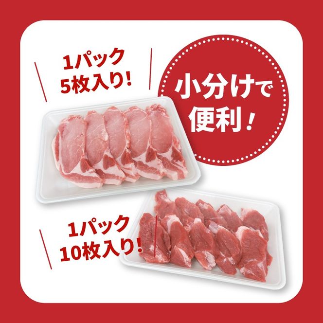 宮崎県産豚肉ロースカツ、ヒレカツセット 計1.3kg K65_0005