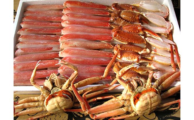 オス・メス揃いで仲良し贅沢 カニ三昧セット ずわい蟹 ずわいガニ ズワイガニ 蟹 　ボイル　日本海