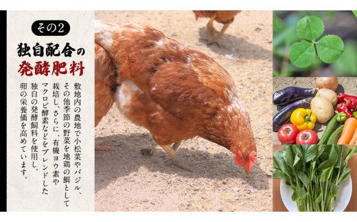 【6ヵ月 連続 定期便】王様の卵 ヨード入 20個 (15個+割れ保障5個 ) 計120個 平飼い 地鶏 有精卵 濃厚 卵 こだわり卵 たまご  頒布会 定期 [AU006us]	