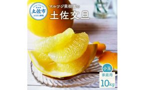 【先行予約】マルツジ果樹園の土佐文旦 家庭用(小玉) 約10kg 10キロ M～Lサイズ 24～32個入り 〈2027年2月1日から3月31日頃発送〉/ ぶんたん ブンタン フルーツ 柑橘 みかん 果物 くだもの 柑橘類 デザート お取り寄せ 国産