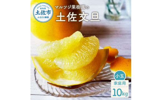 【先行予約】マルツジ果樹園の土佐文旦 家庭用(小玉) 約10kg 10キロ M～Lサイズ 24～32個入り 〈2027年2月1日から3月31日頃発送〉/ ぶんたん ブンタン フルーツ 柑橘 みかん 果物 くだもの 柑橘類 デザート お取り寄せ 国産