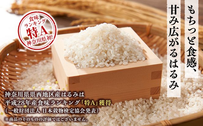 志村屋米穀店 令和7年産小田原市産　はるみ  5kg 142069_DE001
