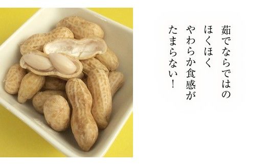 【 選べる 袋数 】 牛久市産 茹で 落花生 1袋 300g入り《 2袋 or 3袋 》 茹で落花生 ゆで落花生 ピーナッツ ナッツ 詰合せ 豆 無塩 塩分不使用 おつまみ おやつ お菓子 素焼き マメ まめ 料理 お茶漬け 国産 小分け お取り寄せ グルメ 茨城県
