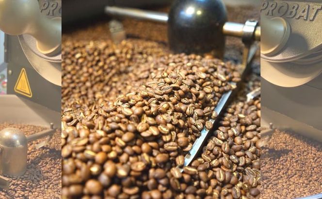 ロースターズセレクト 250g×3種類のおすすめスペシャルティコーヒー ドリンク コーヒー スペシャルティコーヒー