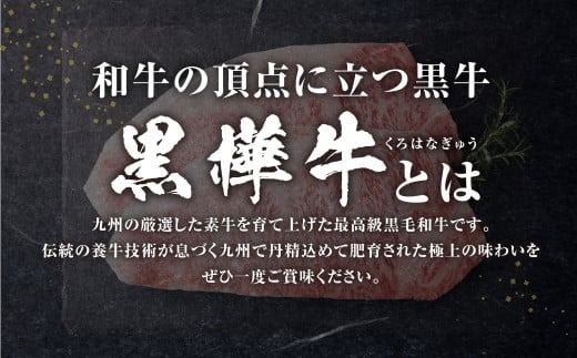 黒樺牛 肉厚サーロインステーキ 約900g （約300g×3パック） お肉 肉 牛肉 ブランド黒毛和牛 和牛 黒毛和牛 ブランド牛 サーロイン ステーキ ロースステーキ 冷凍 国産 九州産 冷凍