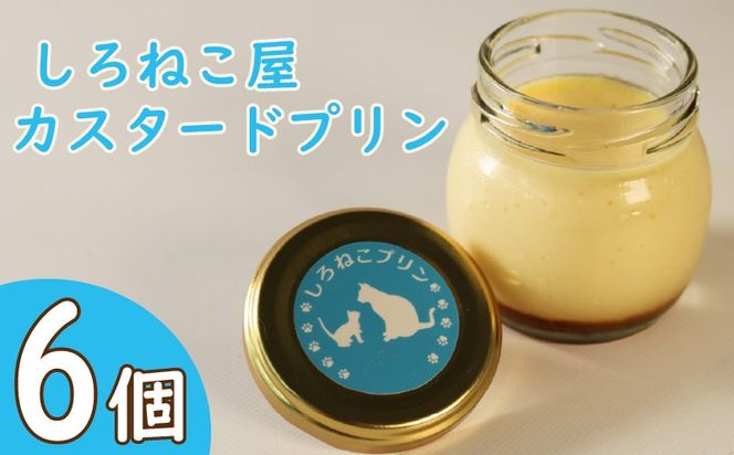 プリン 手作り カスタード プリン  6個セット お菓子 デザート スイーツ おいしい  おやつ 洋菓子 ご褒美 送料無料   静岡県 藤枝市