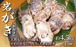 【夏限定！！】岩がき（殻付き）約4.5kg （15個） 1箱 岩ガキ カキ 牡蠣 天然岩ガキ 殻付き 網焼き BBQ 産地直送 夏の味覚 お中元 ギフト 贈答品 浜坂産 兵庫県